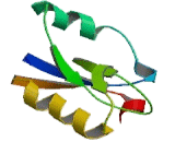 Interleukin 18 Receptor Accessory Protein (IL18RAP)