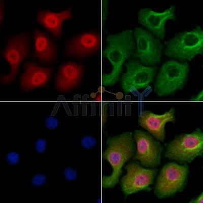 Валидация Affinity DF10174 - 5712