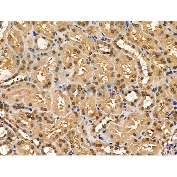 Валидация Affinity DF13426 - 8736