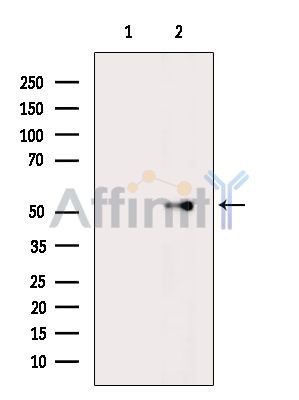 Валидация Affinity DF14741 - 10820