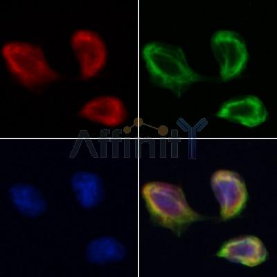 Валидация Affinity AF5128 - 2505