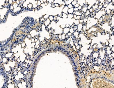 Валидация Affinity DF15744 - 12220