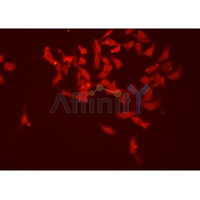 Валидация Affinity AF4088 - 2148