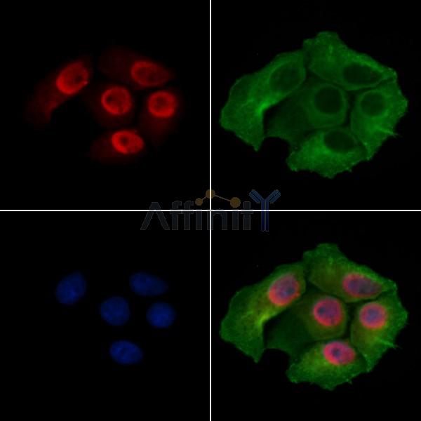 Валидация Affinity AF7661 - 4341