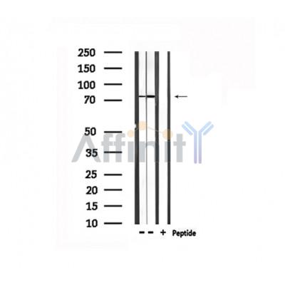 Валидация Affinity DF6289 - 17602