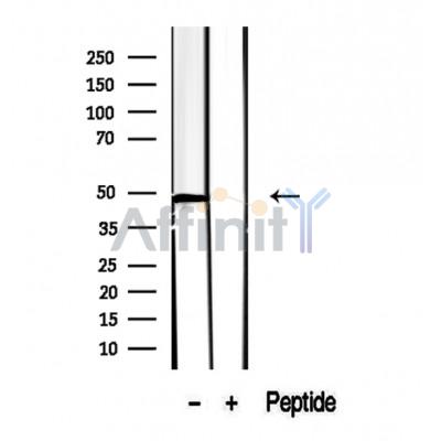 Валидация Affinity DF12361 - 6806