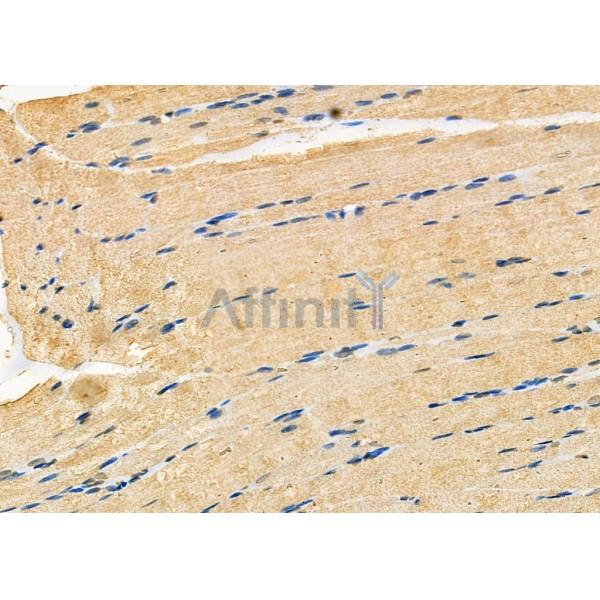 Валидация Affinity DF7197 - 18861