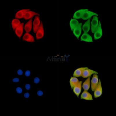 Валидация Affinity DF14418 - 10361