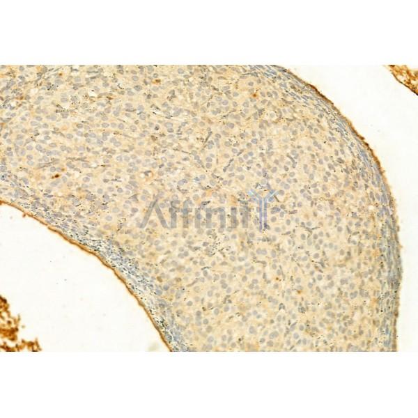 Валидация Affinity AF6300 - 3570