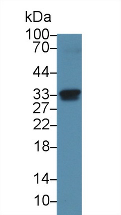 13889