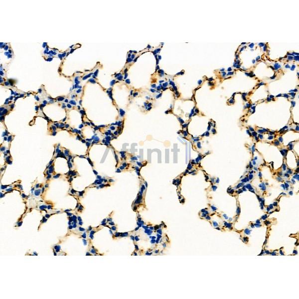 Валидация Affinity DF7204 - 18871