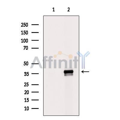 Валидация Affinity DF9101 - 21401