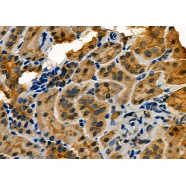 Валидация Affinity DF12304 - 6682