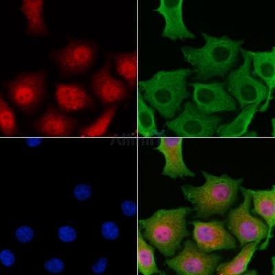 Валидация Affinity AF6160 - 3376