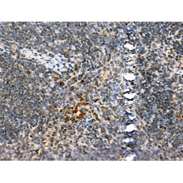 Валидация Affinity DF4661 - 16320