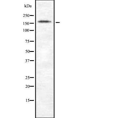 Валидация Affinity DF7837 - 19650