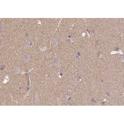 Валидация Affinity AF5125 - 2498