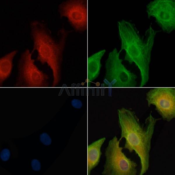 Валидация Affinity DF10157 - 5687