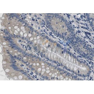 Валидация Affinity AF5163 - 2573