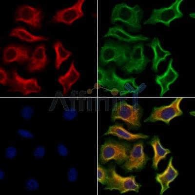 Валидация Affinity DF12492 - 7066