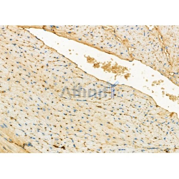 Валидация Affinity DF6712 - 18231