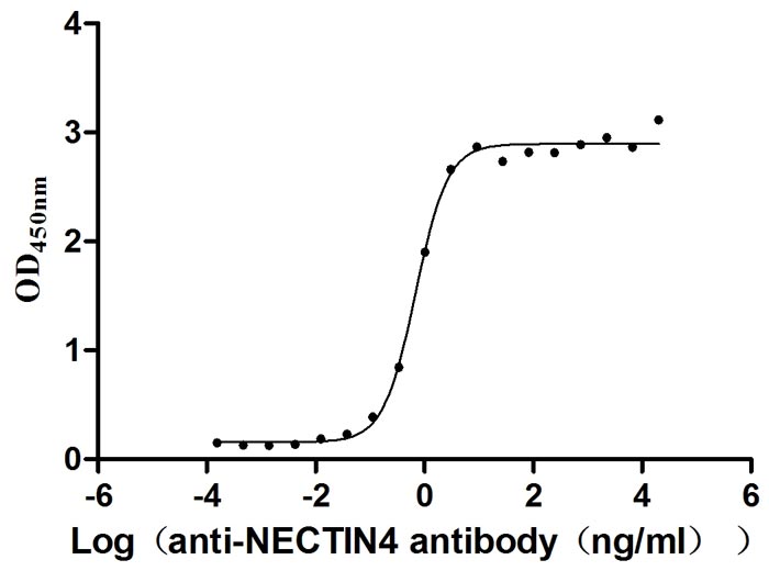 Функциональный ИФА: связывание NECTIN4 с антителом к NECTIN4