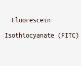 Fluorescein Isothiocyanate (FITC)