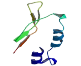 Chemokine C-X-C-Motif Receptor 3 (CXCR3) Chemokine C-X-C-Motif Receptor 3 (CXCR3)