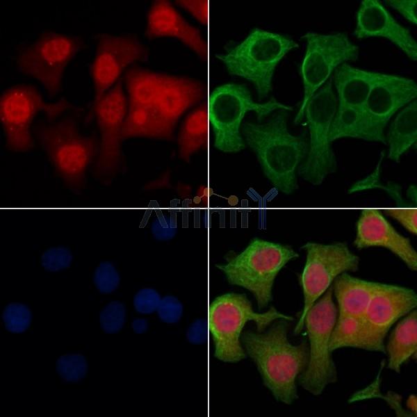 Валидация Affinity DF6018 - 17240