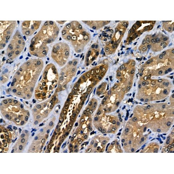 Валидация Affinity AF5187 - 2624