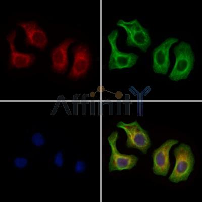 Валидация Affinity AF6049 - 3253