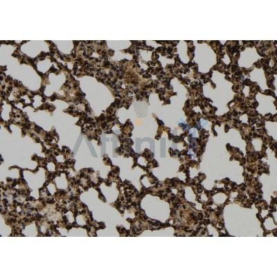 Валидация Affinity DF2955 - 13701