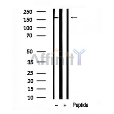 Валидация Affinity AF7663 - 4343