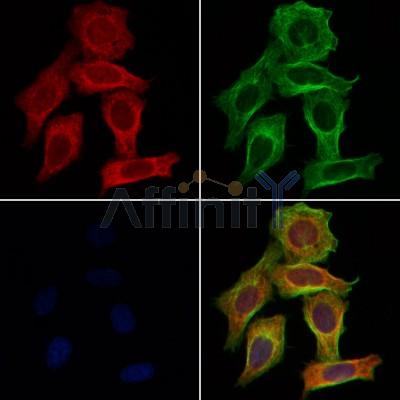 Валидация Affinity DF4709 - 16399