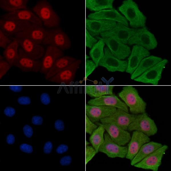 Валидация Affinity AF3914 - 2060