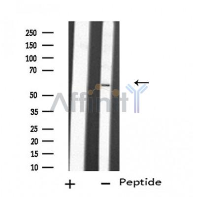 Валидация Affinity DF4759 - 16466