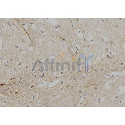 Валидация Affinity DF3471 - 14385