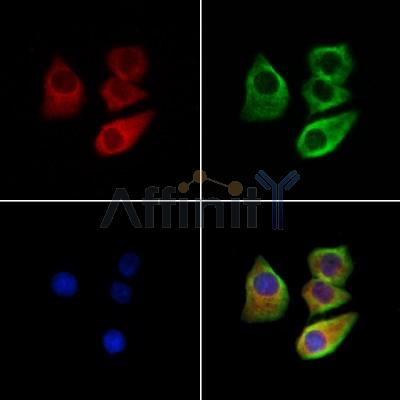 Валидация Affinity DF13247 - 8310