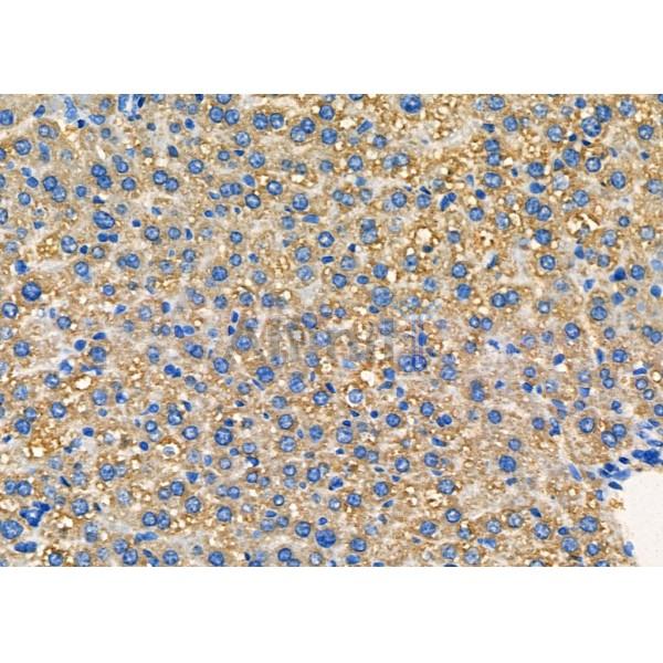 Валидация Affinity DF7370 - 19095