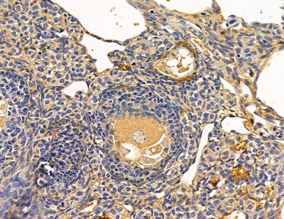 Валидация Affinity DF14881 - 11027