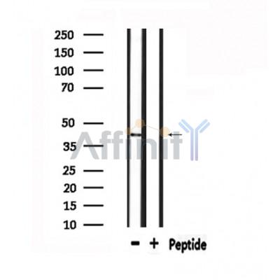 Валидация Affinity DF4988 - 16840