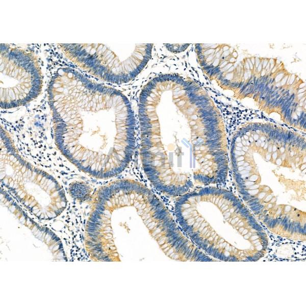 Валидация Affinity DF12284 - 6637