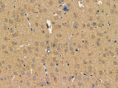 Валидация Affinity DF14377 - 10299