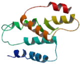 Melanin Concentrating Hormone Receptor 2 (MCHR2) Melanin Concentrating Hormone Receptor 2 (MCHR2)