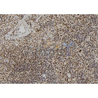 Валидация Affinity DF12209 - 6472