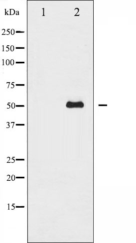 Валидация Affinity AF6177 - 3397