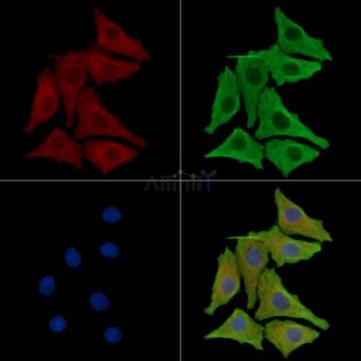 Валидация Affinity DF14872 - 11015