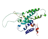 G Protein Coupled Receptor 83 (GPR83) G Protein Coupled Receptor 83 (GPR83)