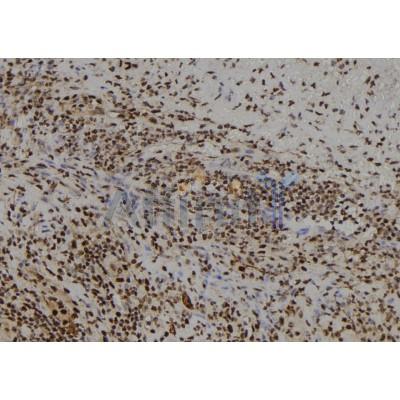 Валидация Affinity DF8766 - 20796