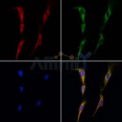 Валидация Affinity AF5383 - 3015